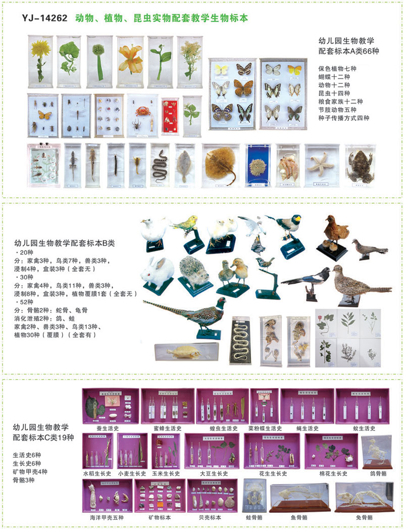 幼儿园情形安排用品